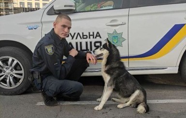 Во Львове полицейский приютил хаски, которая пришла к нему на пост время дежурства