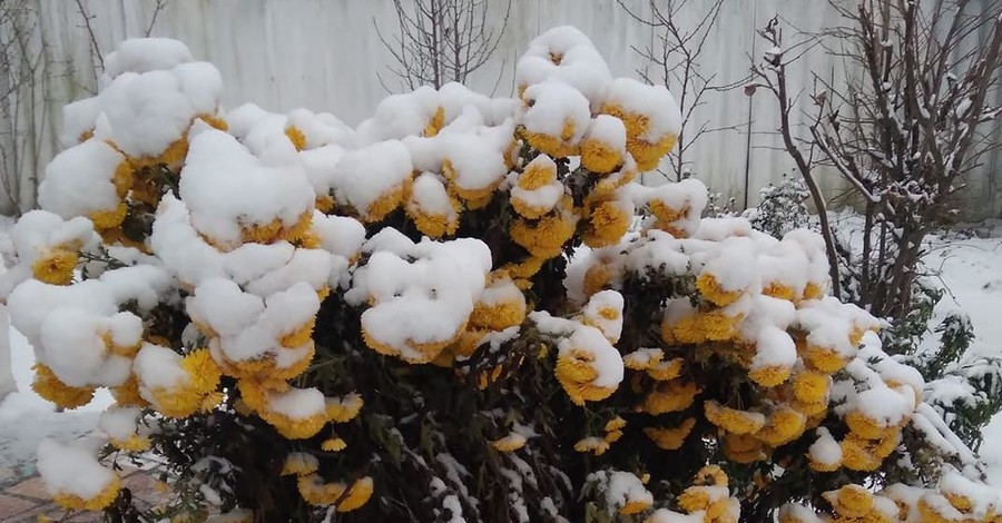 В Геническе и Крыму выпал первый снег