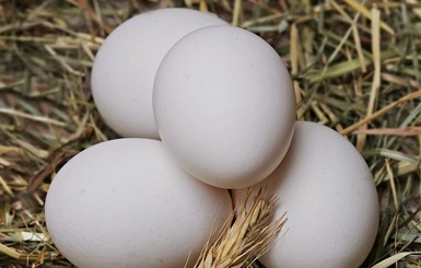 Яйца могут подорожать еще на четверть: кто виноват и что делать