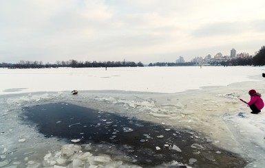 В Киеве мальчика понесло на льдине по Днепру