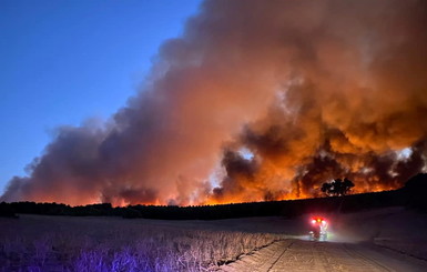 Австралия снова в огне: на западном побережье бушует лесной пожар