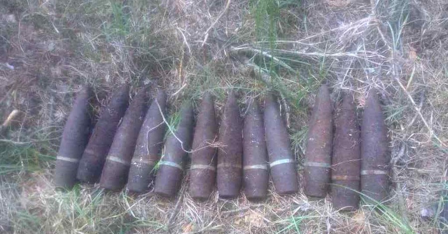 В Житомирской области мужчина во время сбора ягод в лесу нашел 10 снарядов 