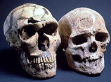 Homo sapiens не спаривались с неандертальцами 