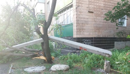 Ураган на Харьковщине: десятки сломанных деревьев и гибель парня от молнии 