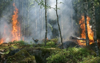 В Украине объявлен чрезвычайный уровень пожароопасности: осторожнее с огнем