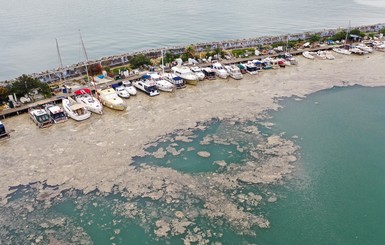 Остановит ли туристов загадочная слизь в Мраморном море