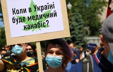 Коррупция против обезболивания: для потребностей больных, Украине хватит одного гектара конопли