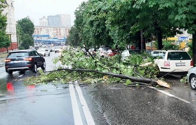 В Украине объявили штормовое предупреждение: по каким областям пронесется непогода