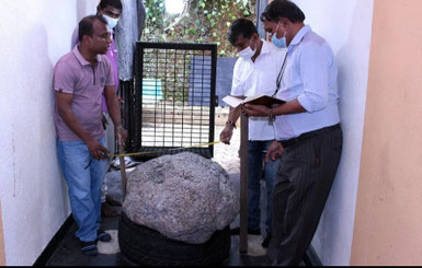 В Шри-Ланке мужчина нашел во дворе крупнейшее в мире скопление сапфиров