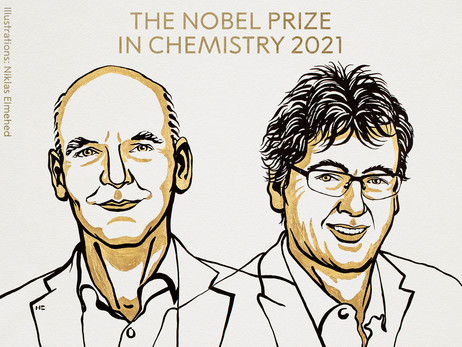 Нобелевскую премию-2021 по химии присудили за новый метод создания органических молекул