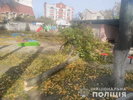 В Кременчуге на детей и воспитательницу садика упало дерево: девочка - в коме