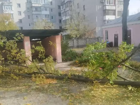 Померла дівчинка, на яку впало дерево в дитсадку Кременчука