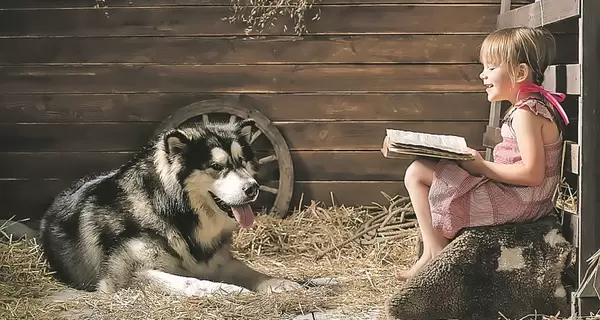 Фінських дітей вчать читати собаки