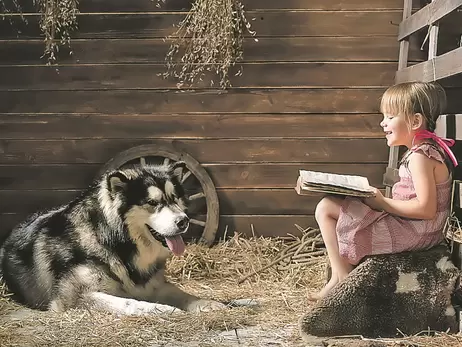 Финских детей учат читать собаки