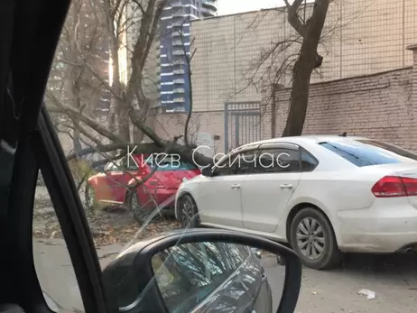 Сильний вітер у Києві повалив на машини дерева, не вщухне він і в неділю