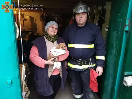 Под Одессой спасатели достали щенка из сливной ямы, спрятанной под железобетонным покрытием