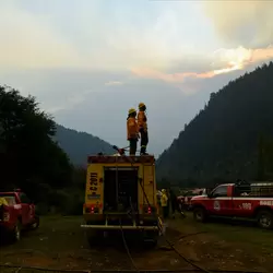 В Аргентине вспыхнули лесные пожары 