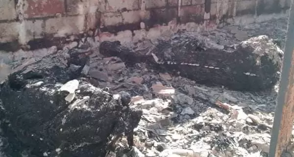 У Гостомелі російські окупантти спалили стайню разом із кіньми