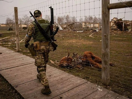 Військові та волонтери намагаються врятувати тварин із приватного зоопарку під Києвом, який потрапив під обстріл