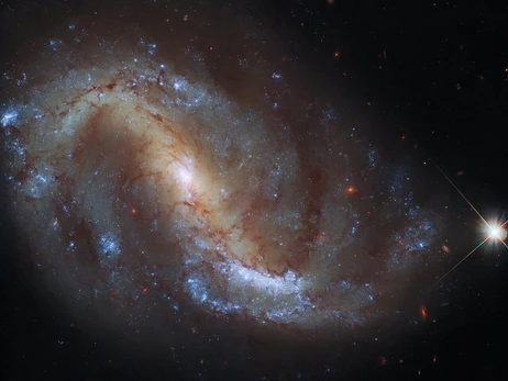 Телескоп Хаббл сфотографував загадкову далеку галактику у сузір'ї Журавель
