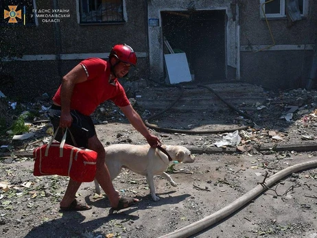 У Миколаєві в обстріляному росіянами житловому будинку врятували собаку