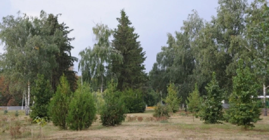 На Житомирщині підірвався автомобіль з лісниками, є загиблий