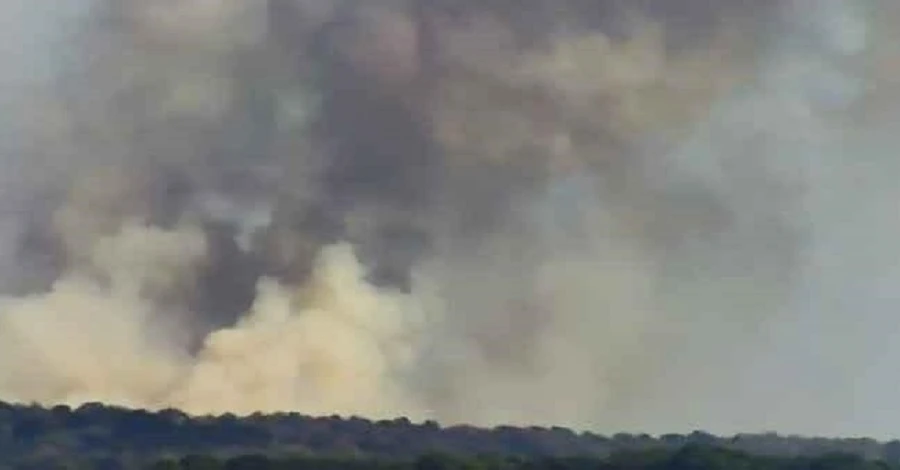 Живицький: Лісова пожежа на Сумщині зачепила і територію РФ