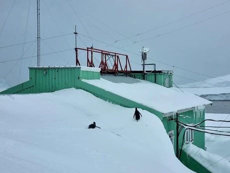 На станції «Академік Вернадський» новий сніговий рекорд: майже 3,5 метри