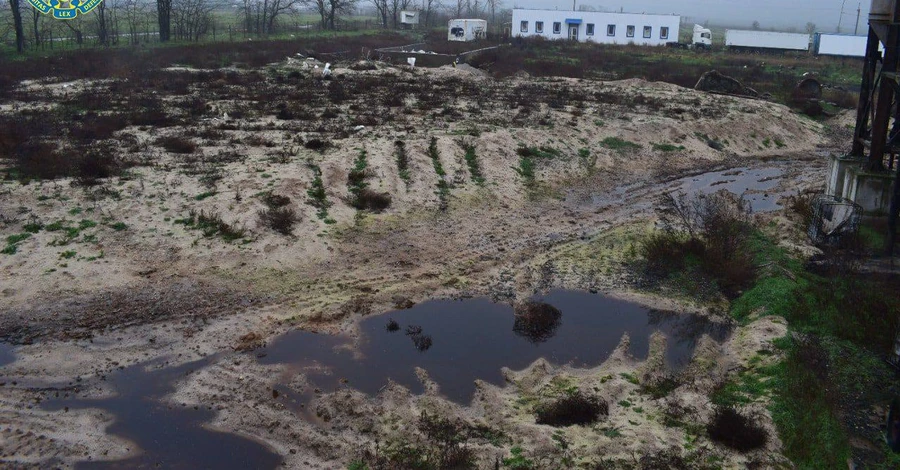 Прокуратура: птахофабрику в Чорнобаївці росіяни перетворили на масове поховання птахів