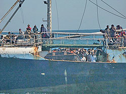 Возле Мальты утонуло 70 нелегалов 