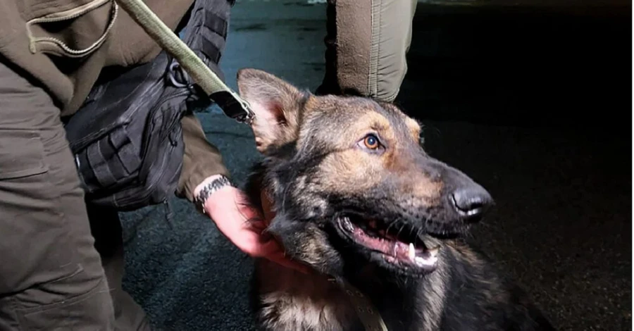 Полицейский из Мариуполя встретился со своей собакой, с которой не виделся 9 месяцев