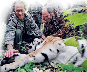 Путин надел ошейник на уссурийского тигра 