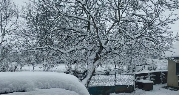 На Украину надвигается холодный циклон со снегом и метелью