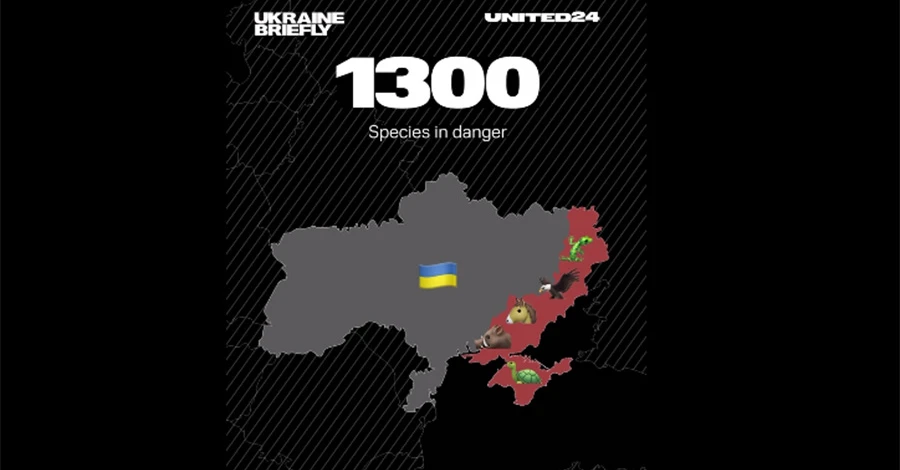 Єрмак: Росіяни окупували двадцять заповідників в Україні