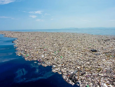 На Большом мусорном пятне в Тихом океане ученые нашли уникальную экосистему 