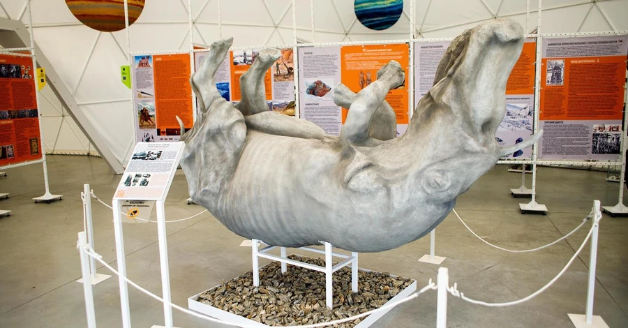 На Прикарпатті презентували копію волохатого носорога, який жив 40 тисяч років тому