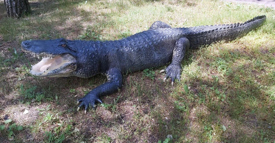 В Николаевском зоопарке выставили чучело крокодила-долгожителя Васи