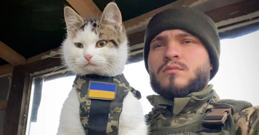 Військовослужбовець знайшов свого зіркового кота Шайбу, якого шукав три тижні