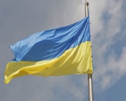 Украинский флаг убил вора  