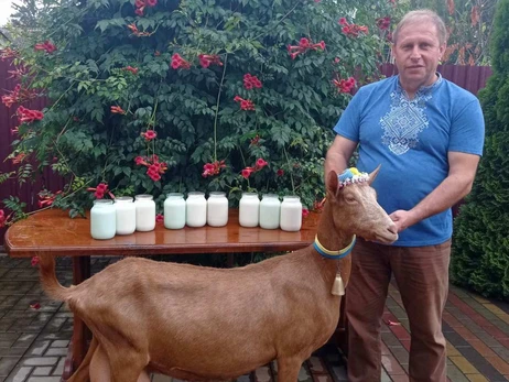 Коза Аліса з Чернігівщини стала рекордсменкою з надоїв молока