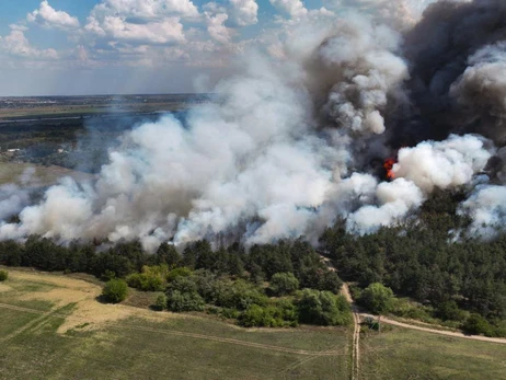 На Миколаївщині знову горить Андріївське лісове урочище