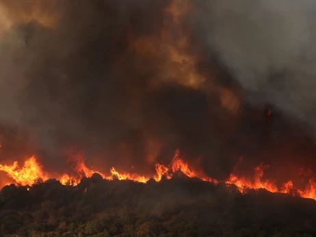 Масштабні лісові пожежі у Греції: 79 людей заарештували через підпали 