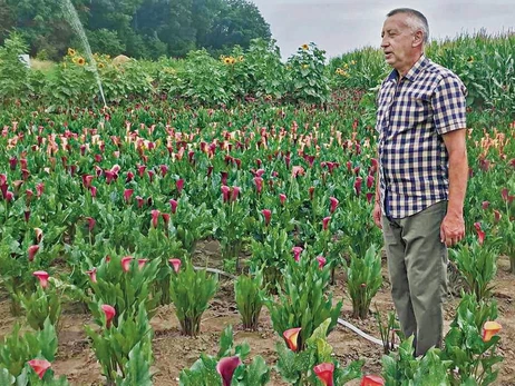 Пенсионер на Тернопольщине выращивает 20 тысяч экзотических кал