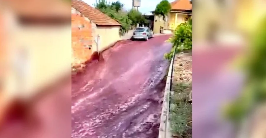 У Португалії вино затопило вулиці міста
