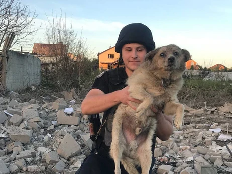 Умерла собака, которую спасли из-под завалов в Сумах четыре дня назад