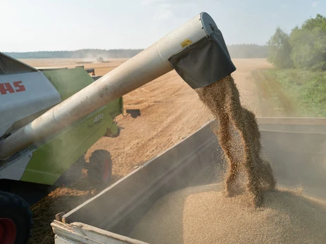 Україна подала позови проти Польщі, Словаччини та Угорщини через заборону імпорту зерна 