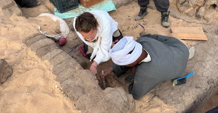В Египте нашли сотни кувшинов с вином, которому 5 тысяч лет