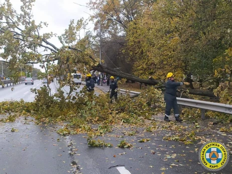 Непогода в Киеве: повреждены почти 600 деревьев, движение транспорта затруднено