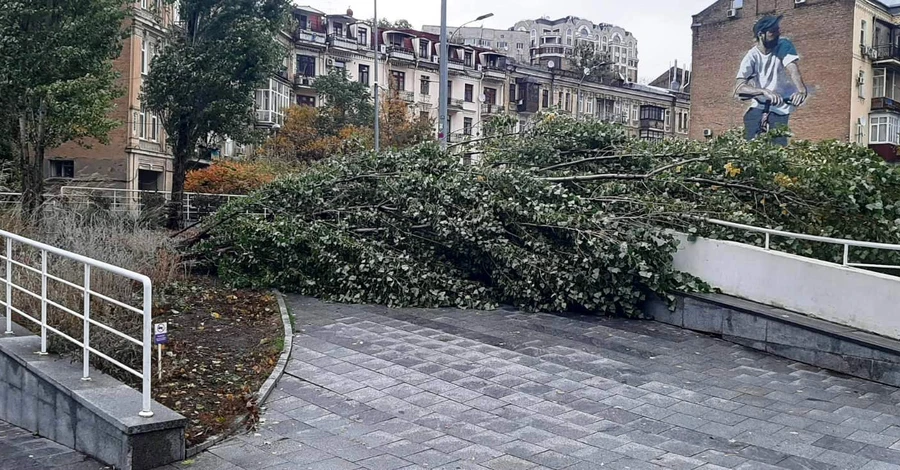 Из-за урагана в Киеве упало беспрецедентное количество деревьев — более 1110