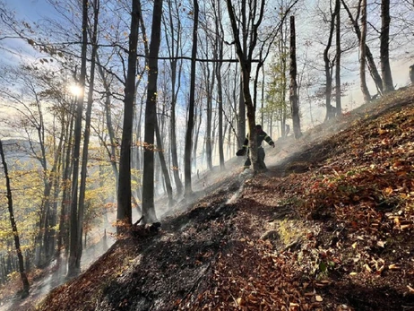 Майже 50 рятувальників гасять пожежу на території національного парку на Буковині